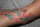 Foot tat tattoo