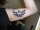 Hylian tattoo
