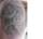 My 3rd tat tattoo
