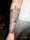 sleeve in progess tattoo