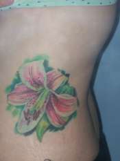 Heather