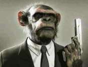 shammonkey