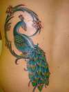 Peacock Tat tattoo
