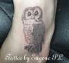 Realistic owl tattoo