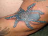 blue spider tattoo