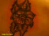 i tattooed this flower on my cousin christinas back
