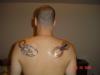 Arachnids tattoo