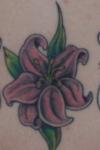 big lilly tattoo