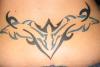 tribal dolphins tattoo