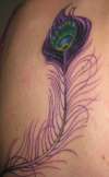 peacock feather tattoo