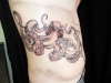 wills octopus tattoo