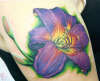 Hybrid Lily tattoo