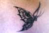 My beautiful butterfly! tattoo