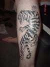 Tiger tattoo