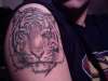 Tiger tattoo upper arm