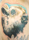 White Buffalo tattoo