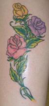 roses tattoo
