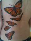 monarchs tattoo