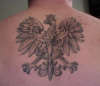 polish eagle tattoo