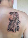 tiger tattoo