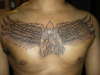 ANGEL WINGS tattoo