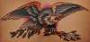 Eagle tattoo