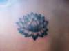 Lotus tattoo