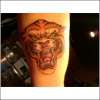 Tiger on inner bicep tattoo