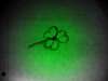 clover tattoo