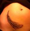 feather.....a cover-up tattoo