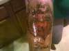 heart tattoo