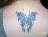 ***1st tattoo! Butterfly!***