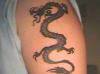 New dragon tattoo