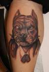 two face pitbull tattoo