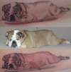Gus The Bulldog tattoo