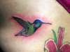 HUMMINGBIRD tattoo
