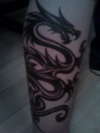 My dragon :) tattoo