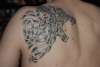 Wolf tattoo