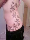 Zebra print Stars tattoo