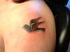 bird tattoo
