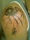 first spider tattoo