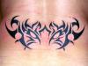 Tribal tiger tattoo