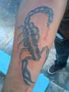 scorpion tattoo