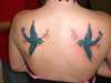 two swallows on my shoulders blades. tattoo