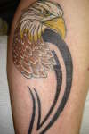 EAGLE TRIBAL tattoo