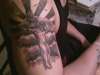 KOK3 tattoo