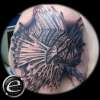 Lion fish tattoo