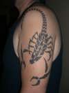 Scorpion tattoo