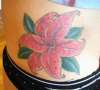 Stargazer Lily tattoo