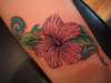 habiscus flower tattoo